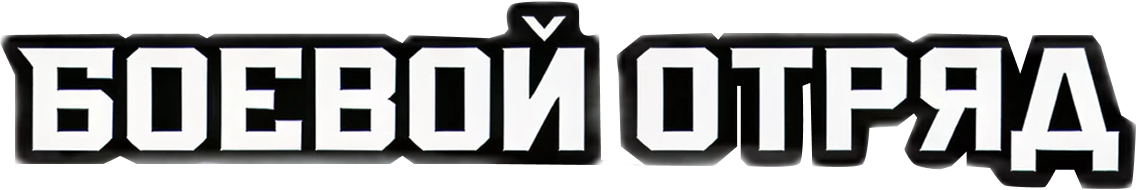 Боевой отряд
