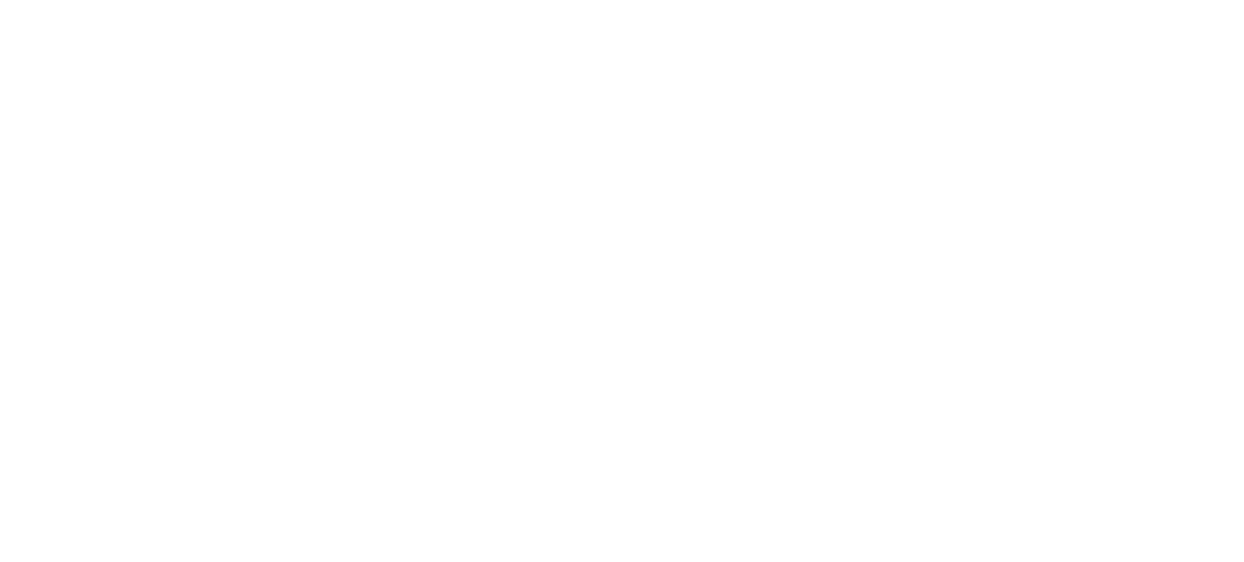Невидимый Раптор